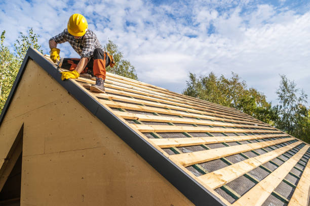 Roof Gutter Cleaning in Mechanicsburg, PA